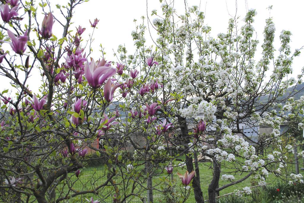 A Casa Di Gianna B&B Rieti Eksteriør bilde